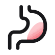 Gastro